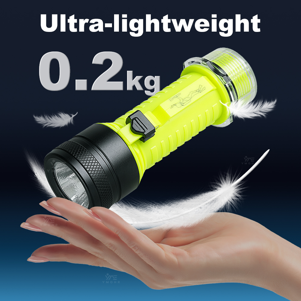 Nieuwe draagbare professionele - Fishing Light recensie en prijs