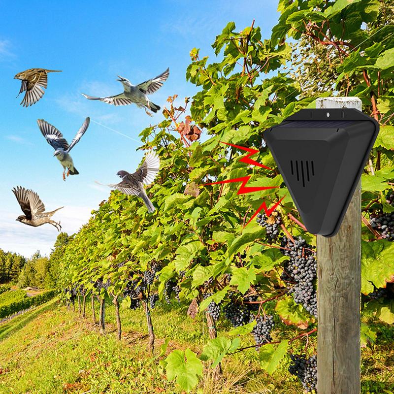 Waterdichte Solar vogelverjage - Fish Alarm recensie en prijs